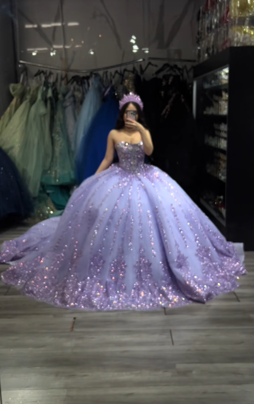 Gorgeous Ball Gown Quinceanera Dress Tulle Purple Sweet 16 Dress DP08170