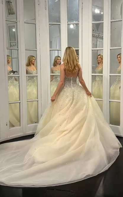 Schönes helles champagnerfarbenes Brautkleid in A-Linie mit Pailletten und Tüll, langes Hochzeitskleid DP08192