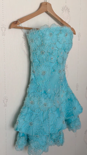 Cute Blue Short Prom Dress Sheath Tulle Sequins Birthday Party Dress DP08270
