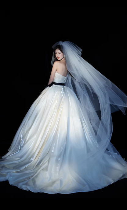 Luxury Strapless Ball Gown Long Wedding Dresses Tulle White Bridal Gowns Sleeveless Bridal Dresses DP3766
