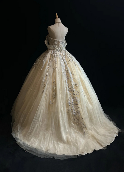 Fairy Sweetheart Ball Gown Long Quinceanera Dress Tulle Applique Birthday Dress Yellow Sweet 16 Dress DQ001