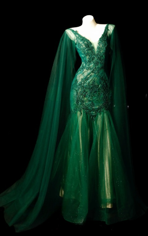 Elegantes grünes Ballkleid mit Tüllapplikationen, V-Ausschnitt, Meerjungfrauen-Schnitt, S1076