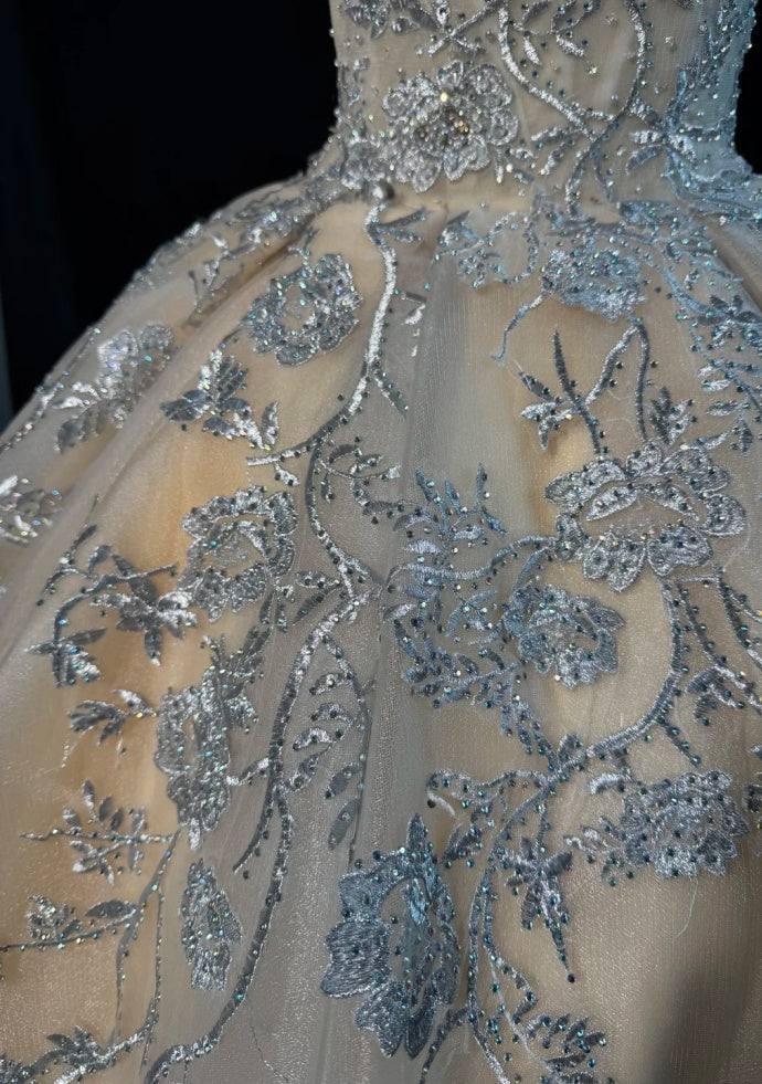 Simple Champagne Prom Dress A-Line Tulle Appliques Evening Dress DP05206