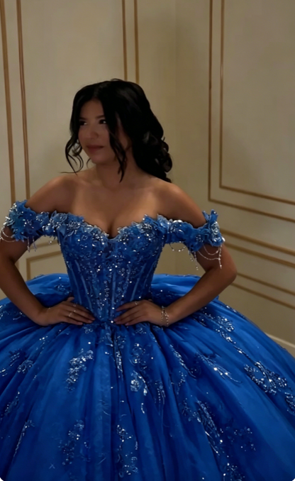 Glam Off-the-Shoulder Ball Gown Tulle Long Prom Dresses Applique Blue Quinceanera Dresses Sweet 16 Dress DP3753