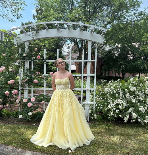 Chic Sweetheart A-line Yellow Long Prom Dresses Sleeveless Tulle Applique Yellow Birthday Dresses DP3857